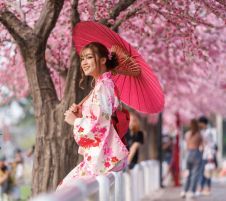 Нежната магия на Япония през април